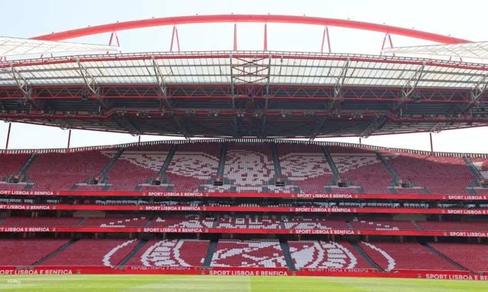 SL Benfica Stadium and Cosme Damião Museum tour with wine tasting