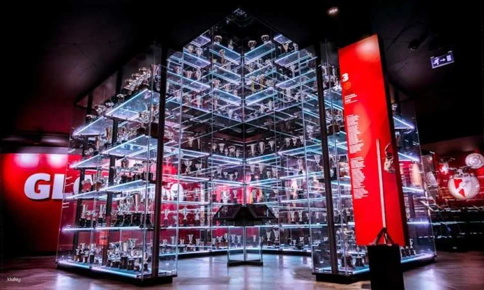 SL Benfica Stadium and Cosme Damião Museum tour with wine tasting