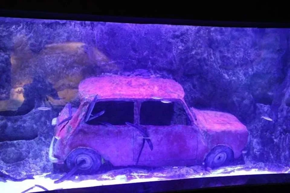 Antalya Aquarium Ticket for Side Hotels