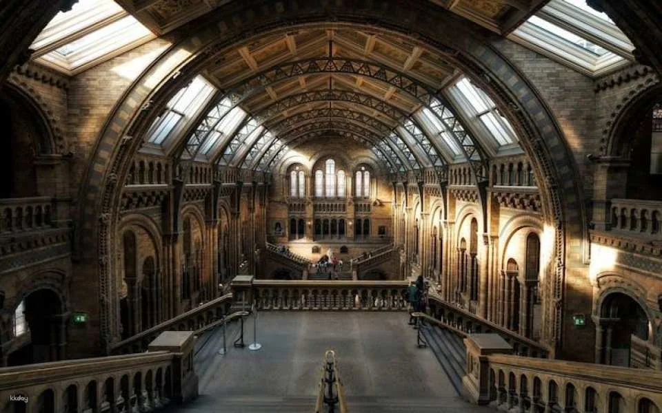 London Natural History Museum With Russian In-App Audio Tour