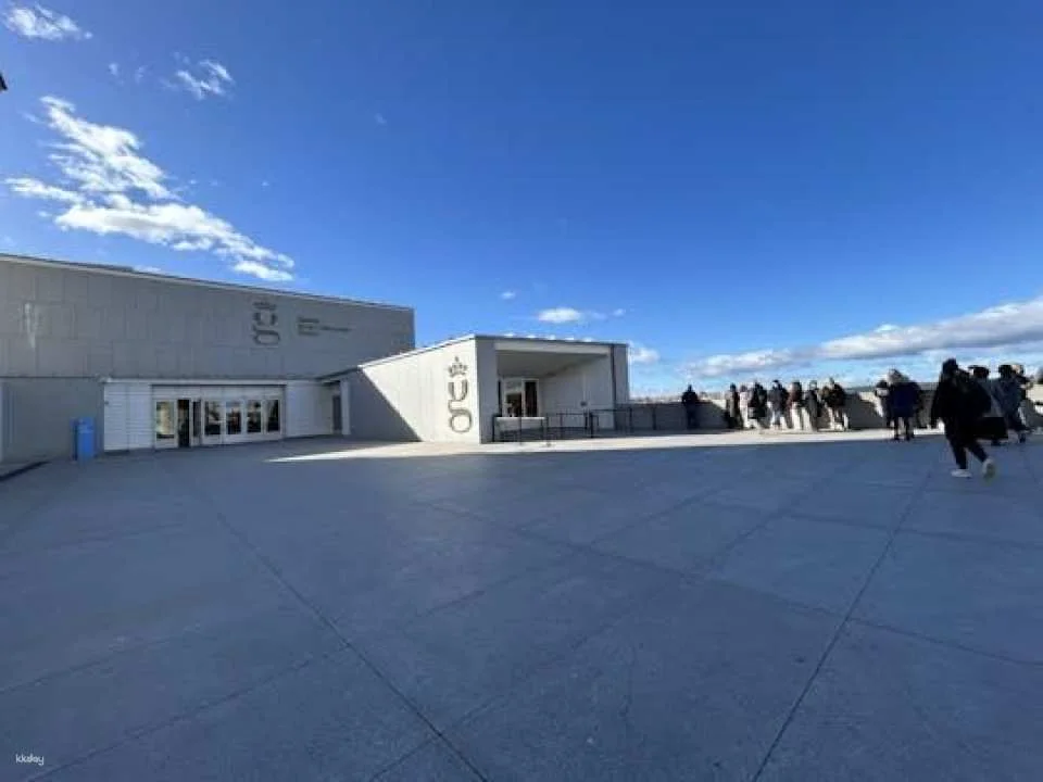 Royal Collections Gallery and Royal Palace Guided Tour in Spanish