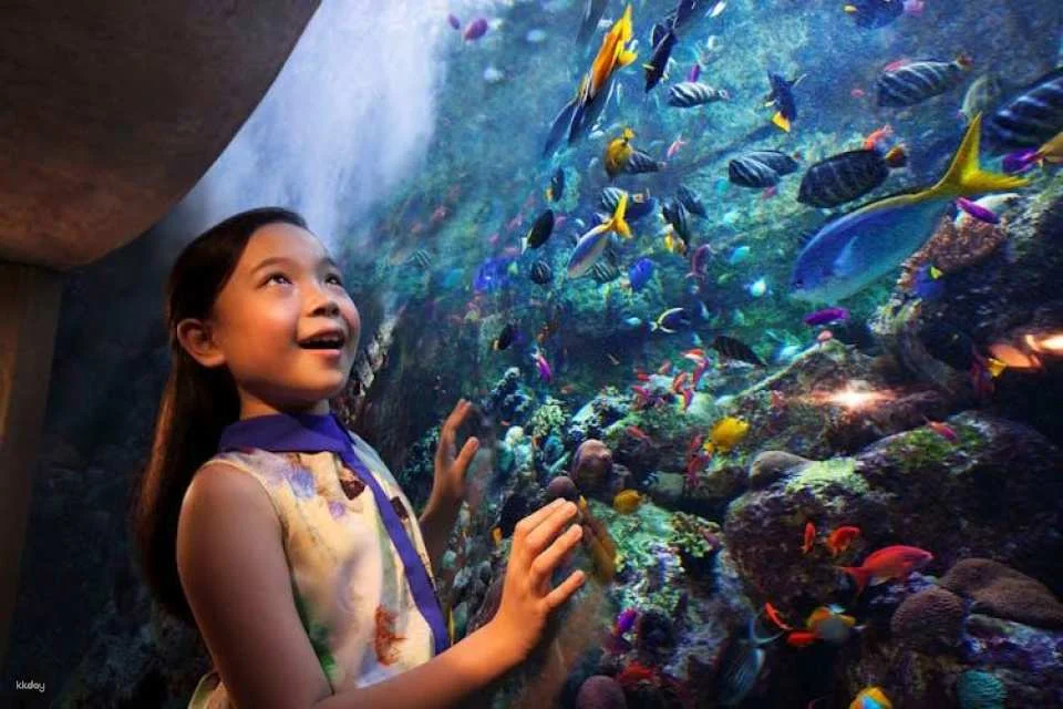 Atlantis Aquarium "The Lost World" tickets