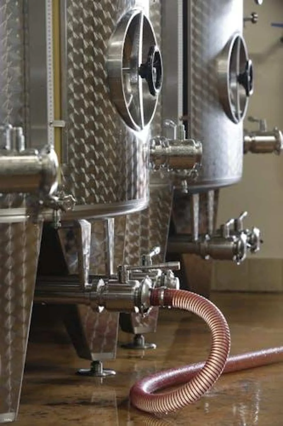 Ornella Bellia Winery Guided Tour with Tasting in Pramaggiore