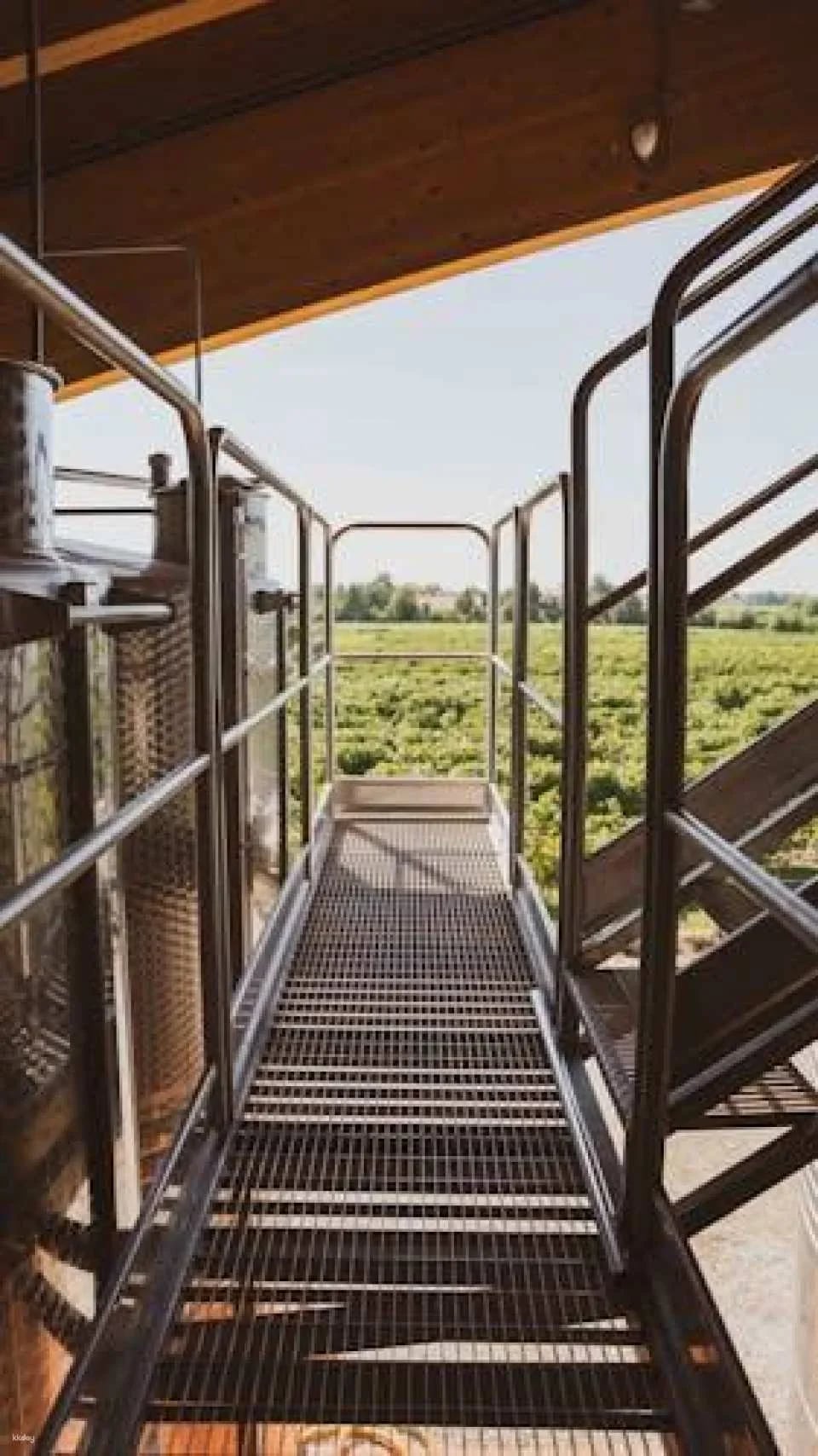 Ornella Bellia Winery Guided Tour with Tasting in Pramaggiore
