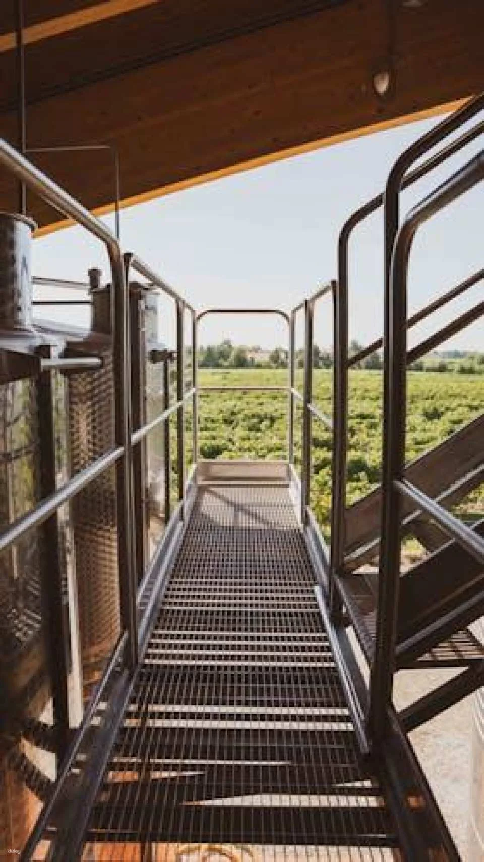 Ornella Bellia Winery Guided Tour with Tasting in Pramaggiore