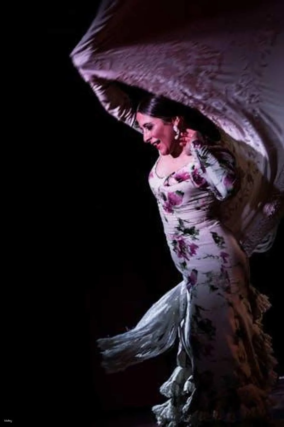Flamenco Show at Tablao Flamenco Café Ziryab in Madrid