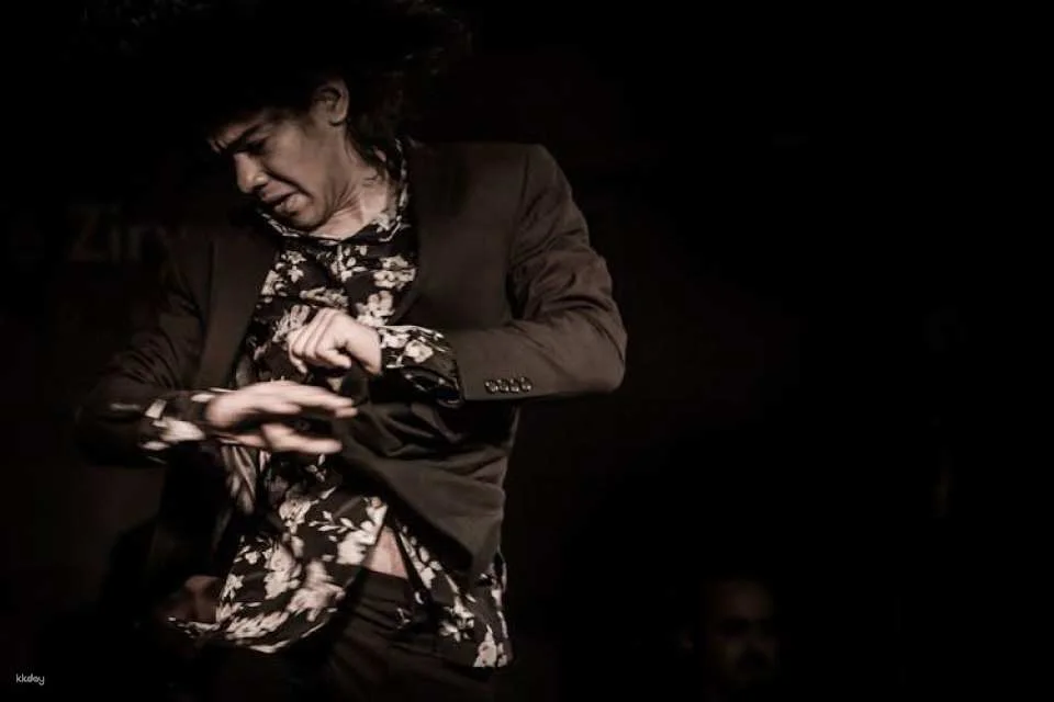 Flamenco Show at Tablao Flamenco Café Ziryab in Madrid