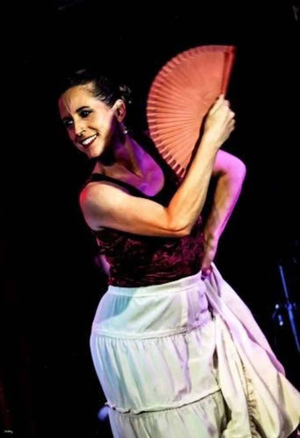 Flamenco Show at Tablao Flamenco Café Ziryab in Madrid