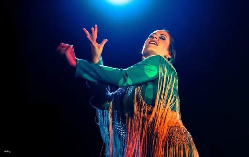 Flamenco Show at Tablao Flamenco Café Ziryab in Madrid