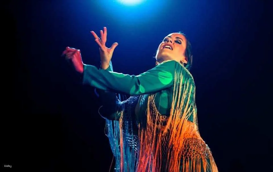 Flamenco Show at Tablao Flamenco Café Ziryab in Madrid