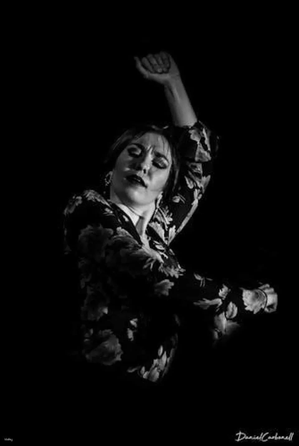 Flamenco Show at Tablao Flamenco Café Ziryab in Madrid