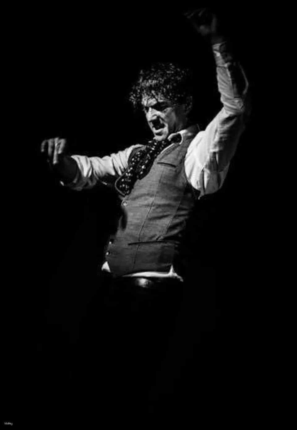 Flamenco Show at Tablao Flamenco Café Ziryab in Madrid