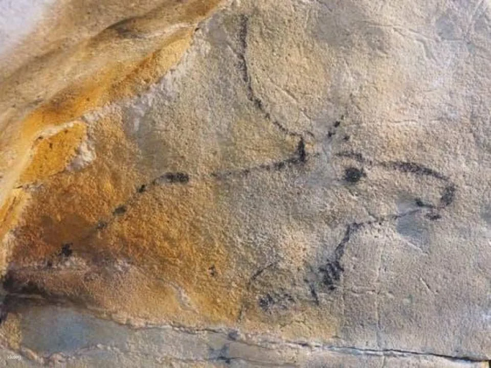 El Castillo caves and Paleolithic art day trip from Santander