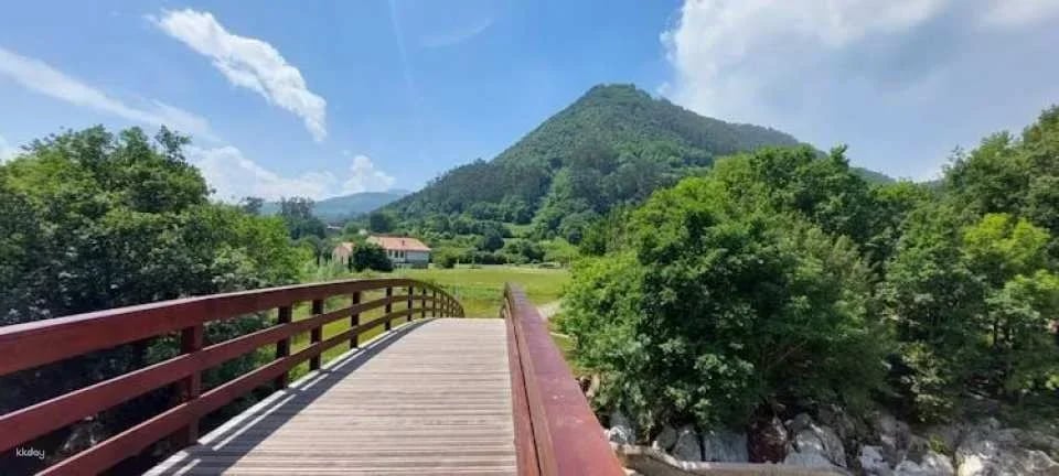 El Castillo caves and Paleolithic art day trip from Santander