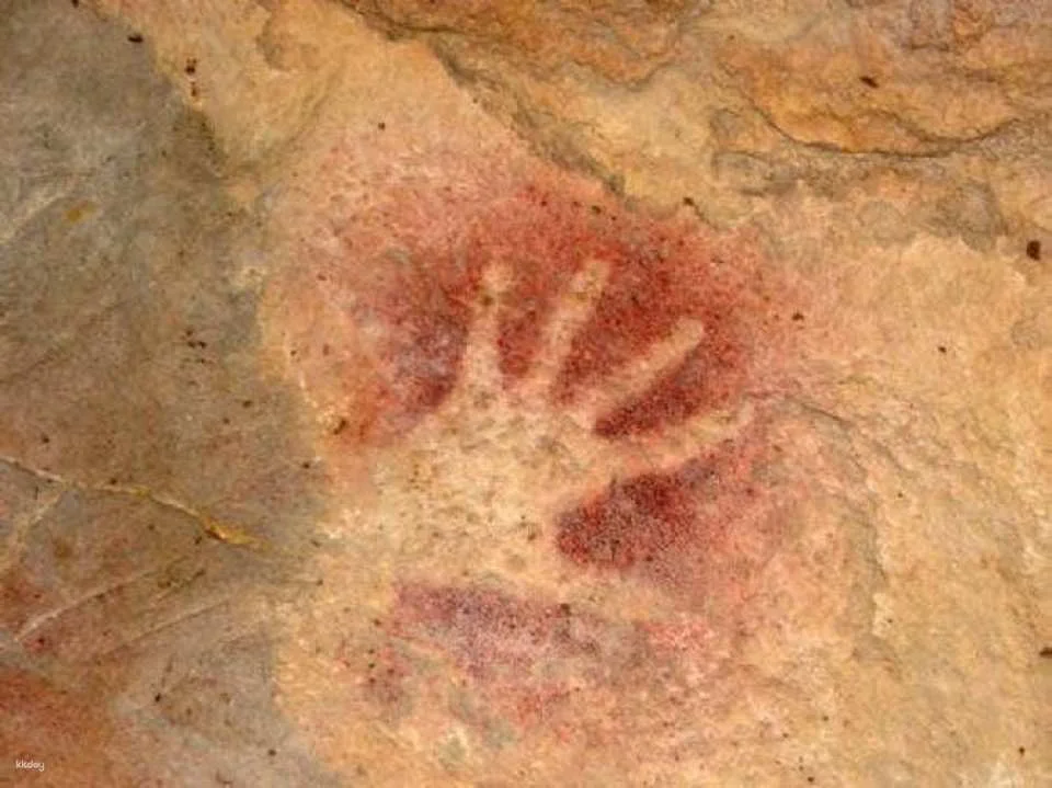 El Castillo caves and Paleolithic art day trip from Santander