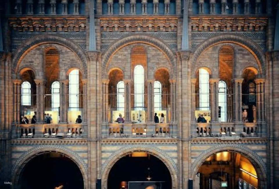London Natural History Museum Ticket and In-App Audio Tour in Italian