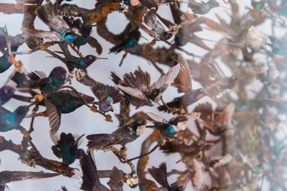 London Natural History Museum Ticket and In-App Audio Tour in Italian