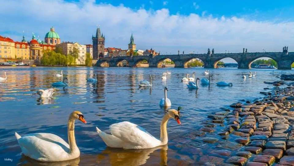 Prague pass with Castle entry and Vltava River cruise