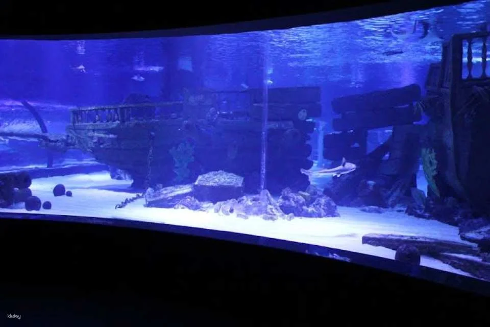 Antalya Aquarium Ticket for Belek hotels