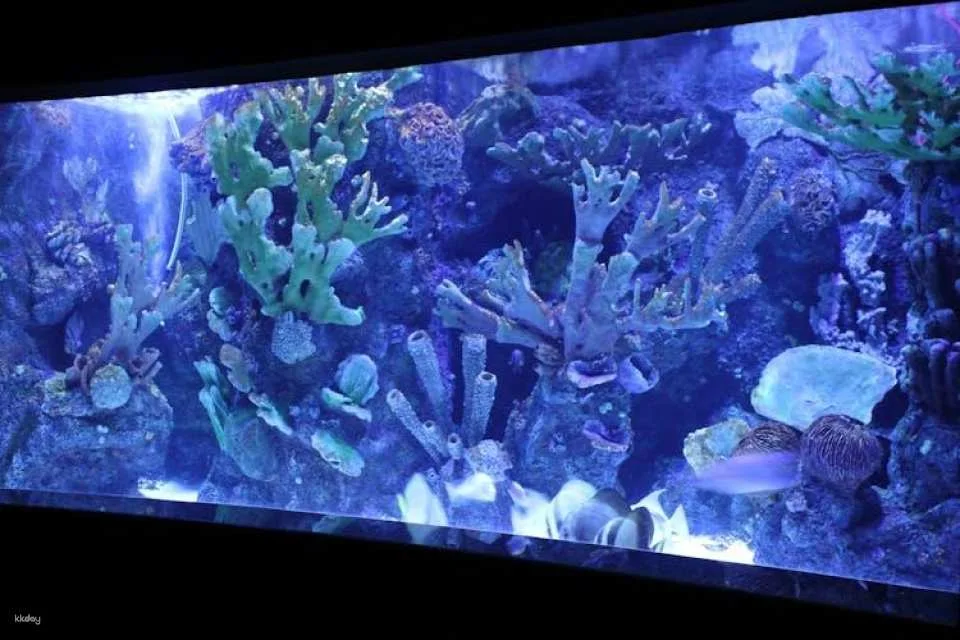 Antalya Aquarium Ticket for Belek hotels