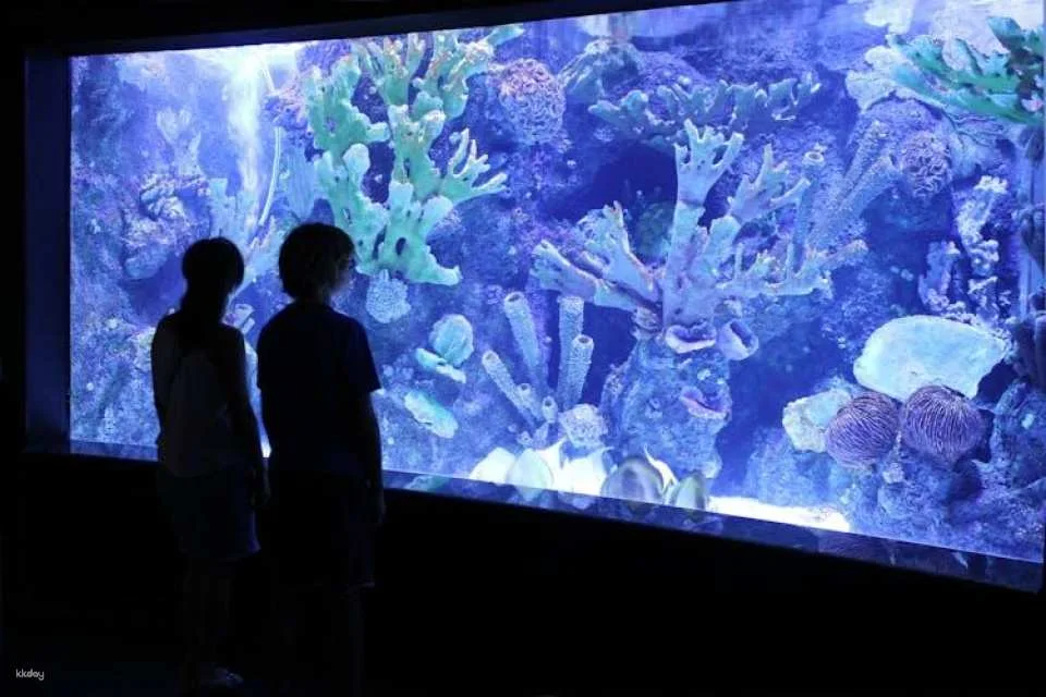 Antalya Aquarium Ticket for Belek hotels