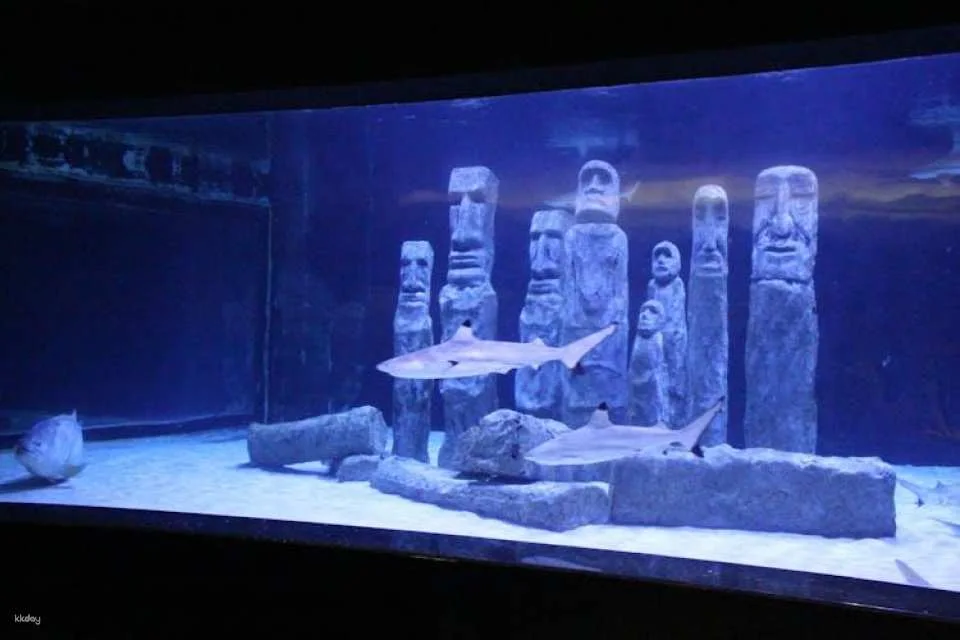 Antalya Aquarium Ticket for Belek hotels