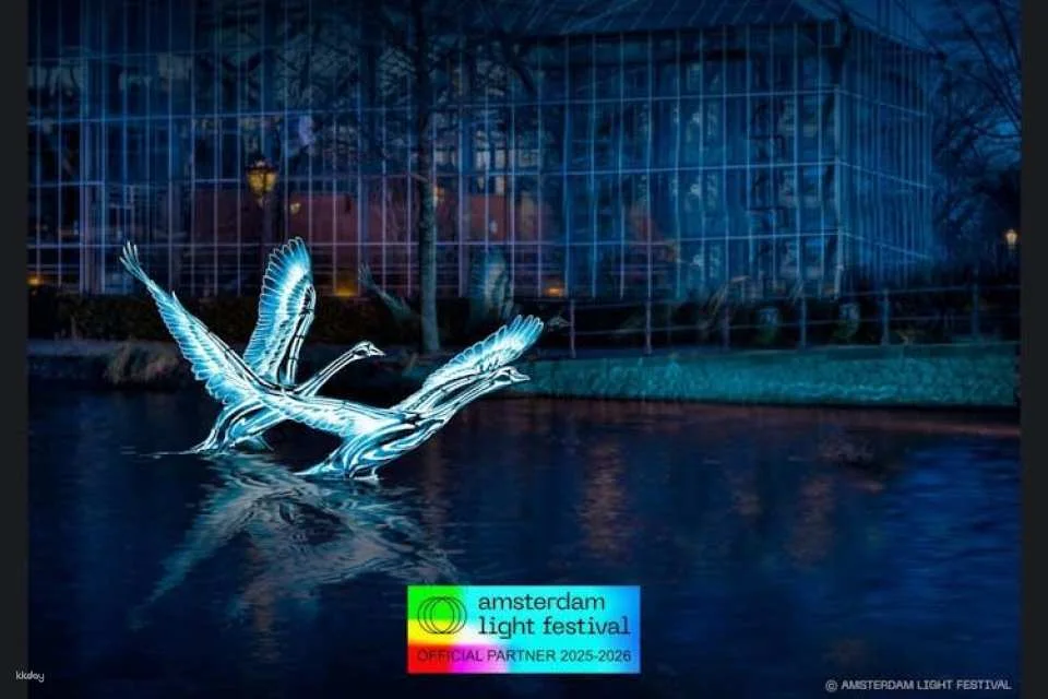 Amsterdam Light Festival canal cruise on a luxury boat with drinks