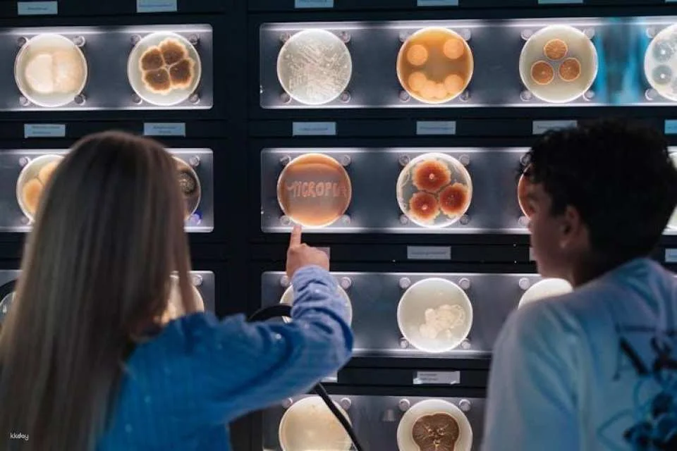 Amsterdam Micropia entrance ticket