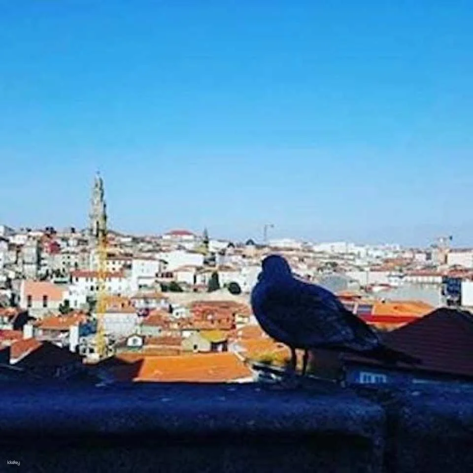 Porto small-group tour with wine tasting
