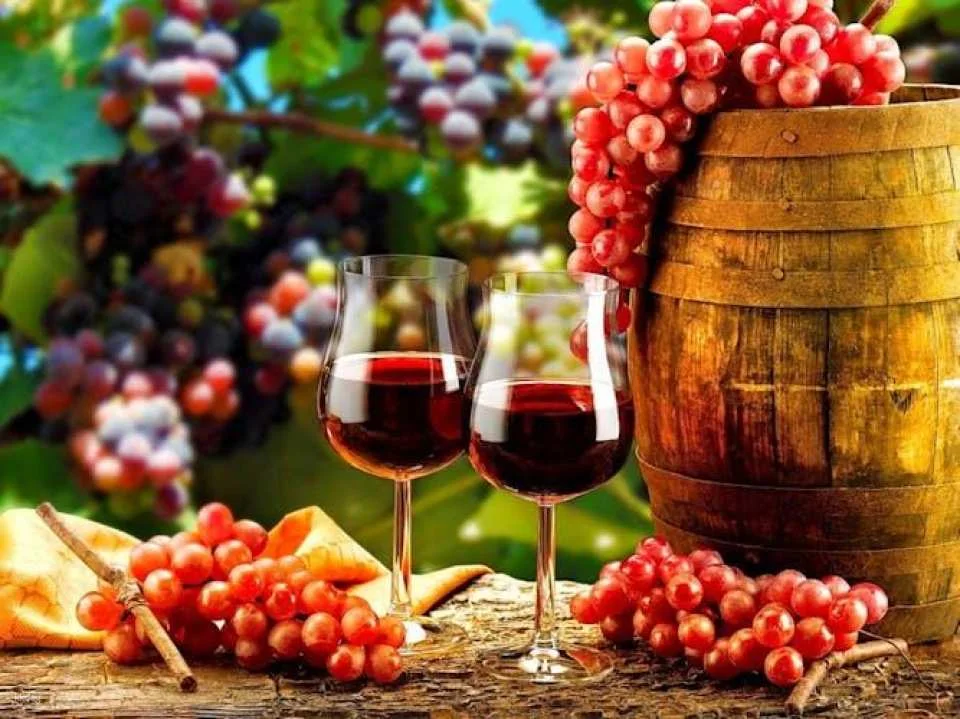 Porto small-group tour with wine tasting