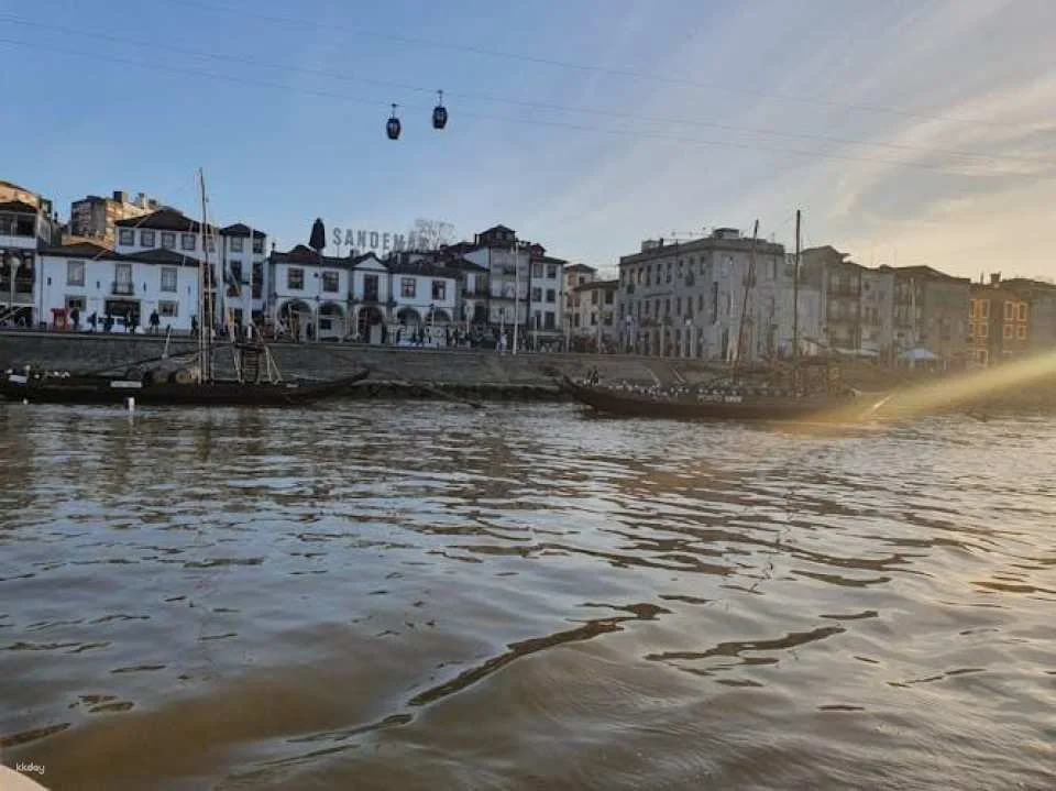 Porto small-group tour with wine tasting