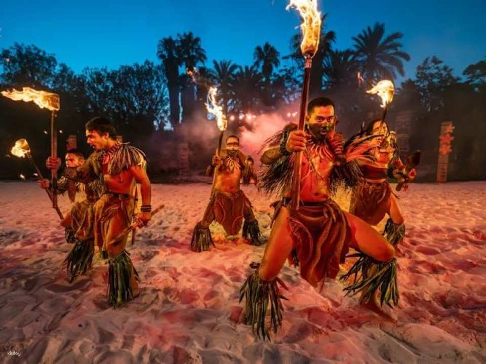 Caribe Aquatic Park by day and PortAventura Park by night 1-day combo
