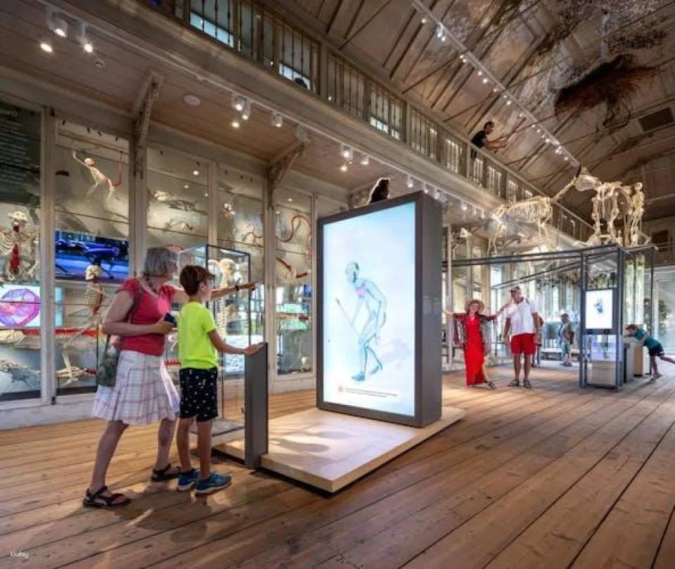 ARTIS-Groote Museum Entrance Ticket