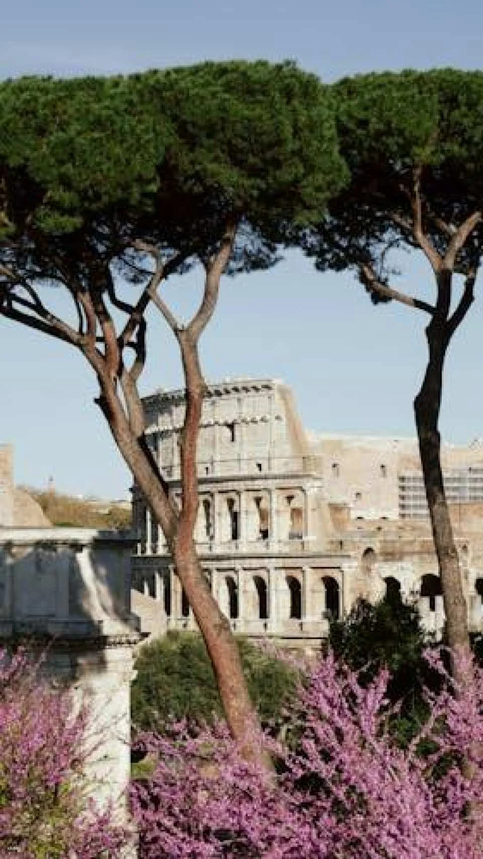 Colosseum and Roman Forum treasure hunt tour for Kids