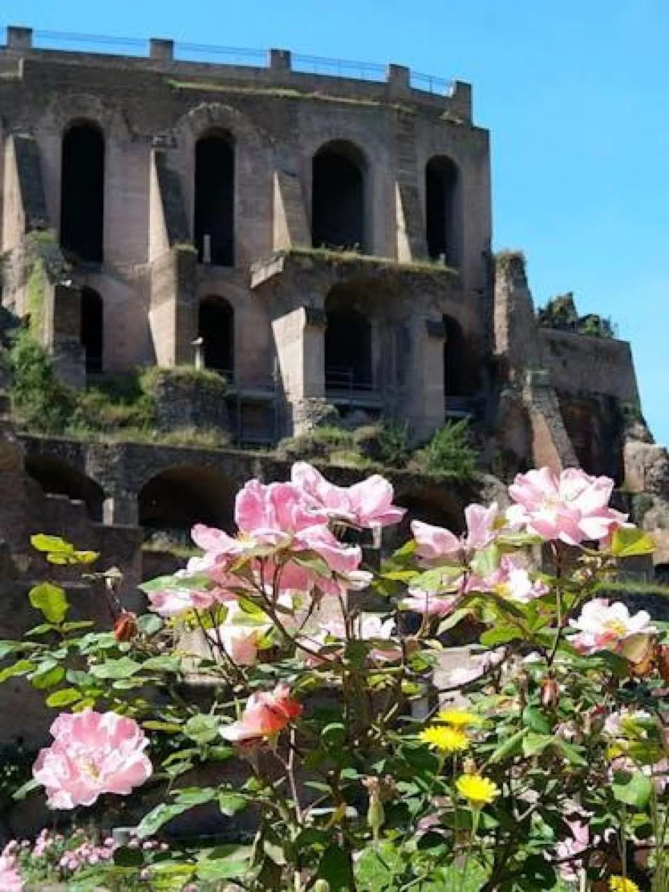 Colosseum, Forum and Palatine in small group with Dutch guide