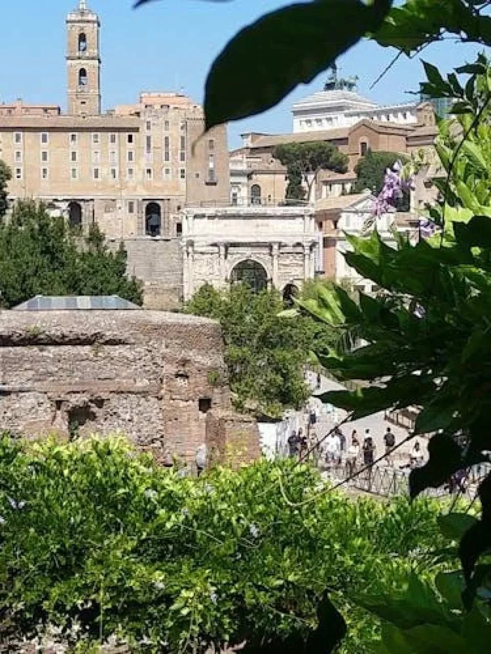 Colosseum, Forum and Palatine in small group with Dutch guide