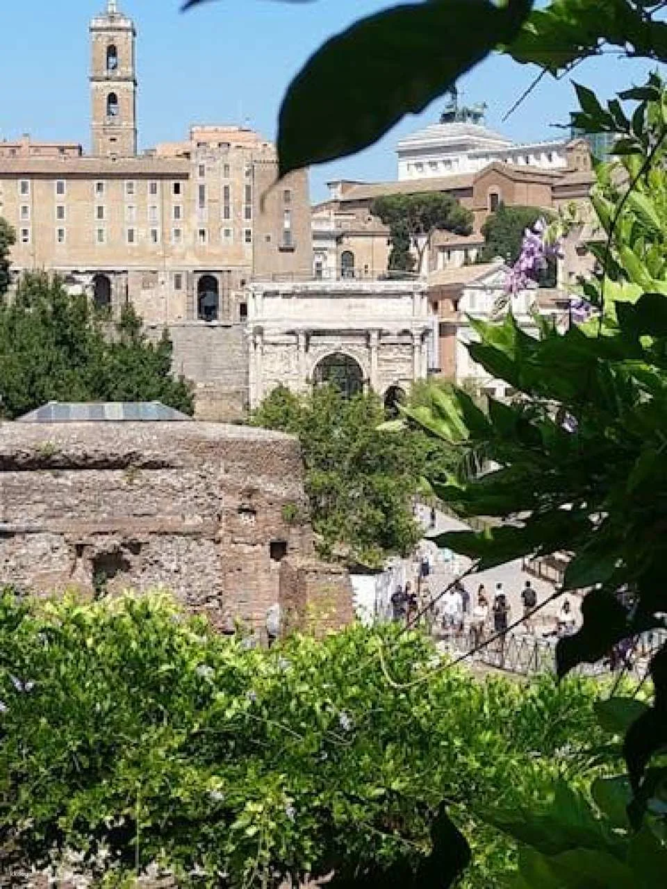 Colosseum, Forum and Palatine in small group with Dutch guide