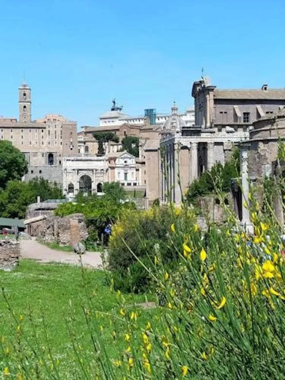 Colosseum, Forum and Palatine in small group with Dutch guide