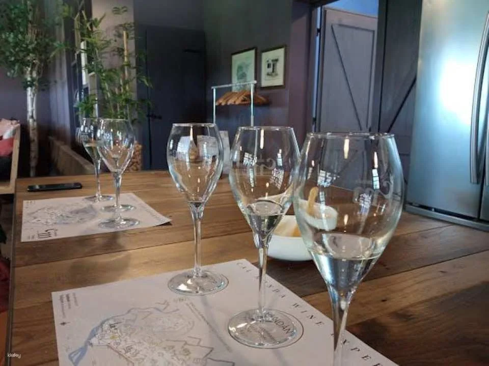 Wine Tasting Tour in Prosecco Hills in Veneto