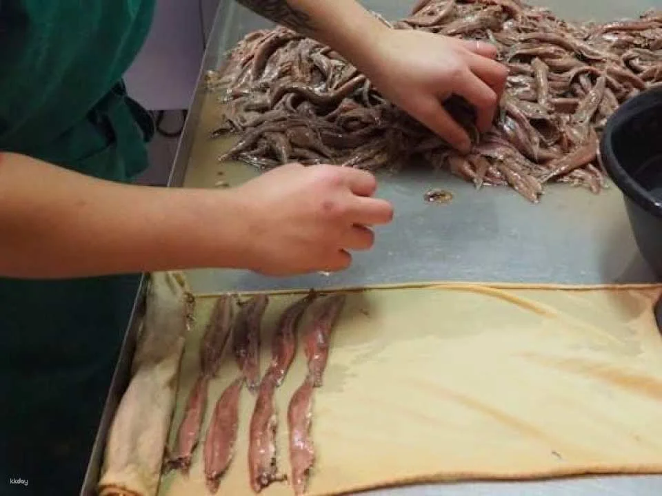Half-Day Santoña and Anchovy Cannery Guided Tour with Boat Trip