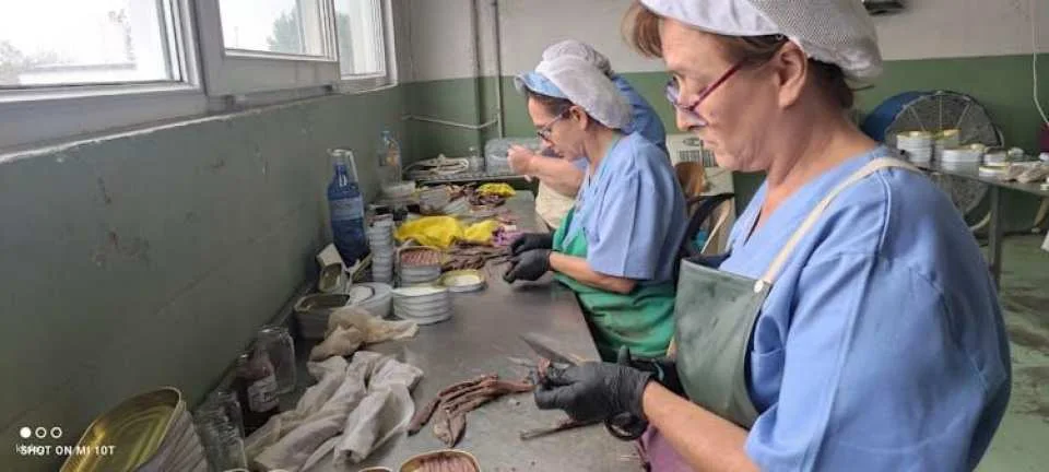 Half-Day Santoña and Anchovy Cannery Guided Tour with Boat Trip