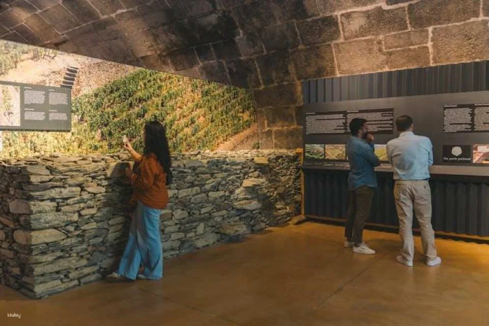WOW 48-hour pass with Fonseca's Wine Cellar audio guided tour