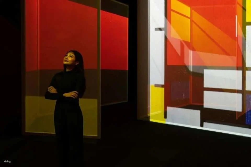 "Frameless" Immersive Art Experience entrance tickets