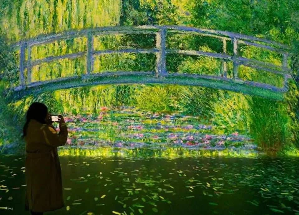 "Frameless" Immersive Art Experience entrance tickets