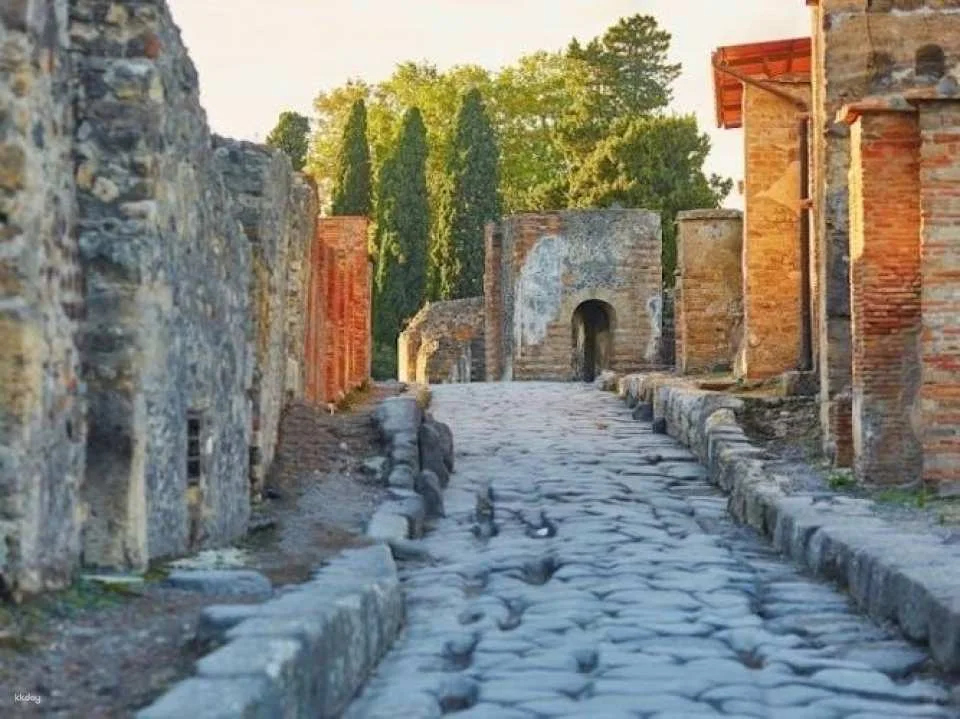 Full-Day Guided Tour of Pompeii from Rome with Lunch