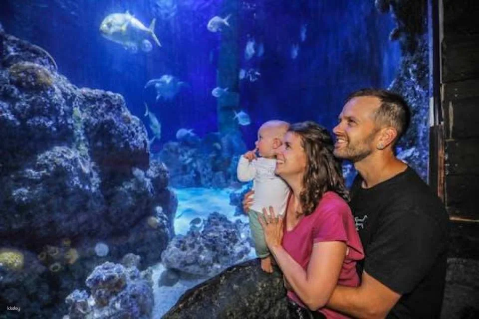 Entrance tickets to discover Hannover Sea Life Aquarium
