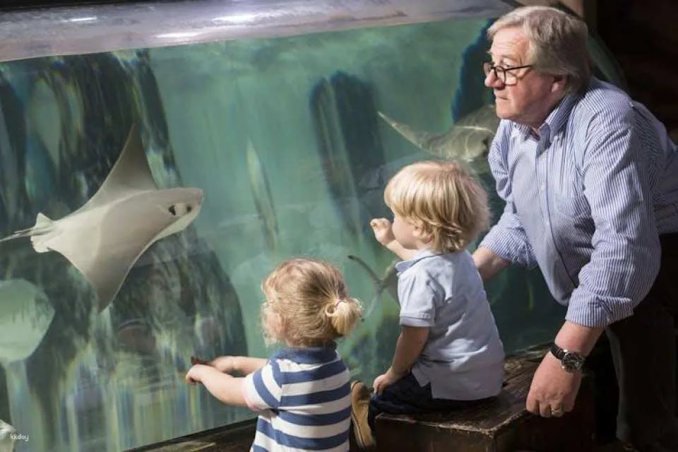Entrance tickets to discover Hannover Sea Life Aquarium