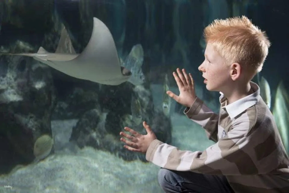 Entrance tickets to discover Hannover Sea Life Aquarium