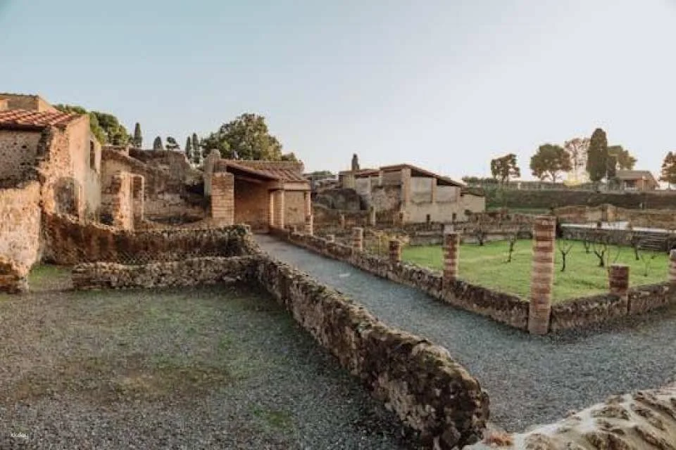 Herculaneum archaeological site access with audio guide