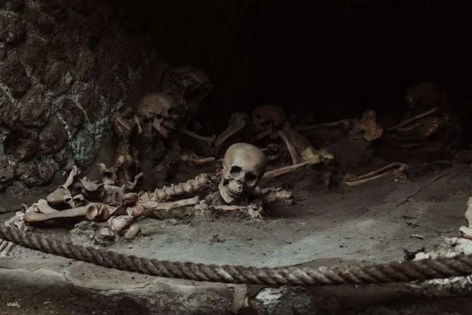 Herculaneum archaeological site access with audio guide